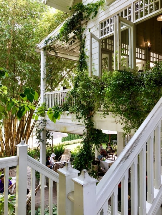 La végétation envahissante.