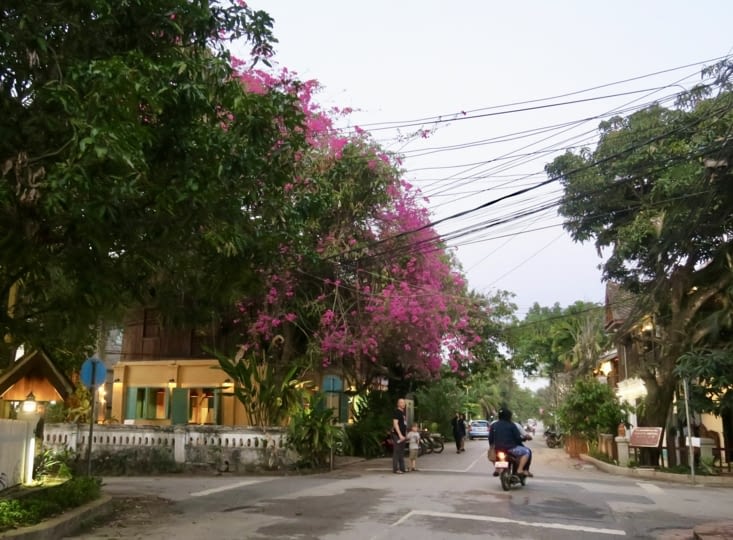 On préfère une petite balade tranquille...