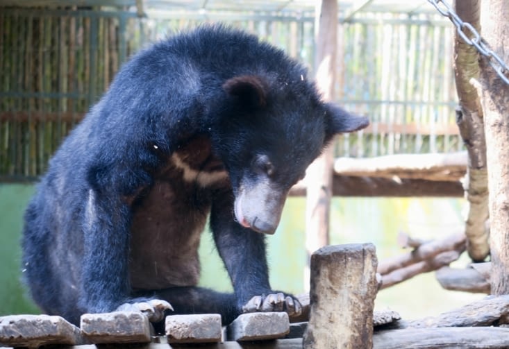 Et tout en bas, en plus !