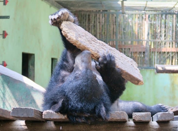 Tiens elle est rigolote cette planche !