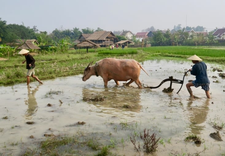 ... accompagné de 4 bras costauds.
