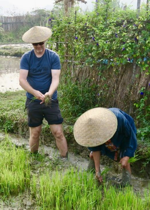 Au bout d’un mois, certains germes ont bien poussé, d’autres non.