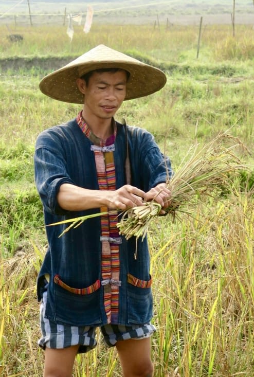 On fait des fagots avec une tige de riz.