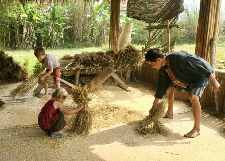 Petite séance de balayage collectif pour regrouper les grains éparpillés.