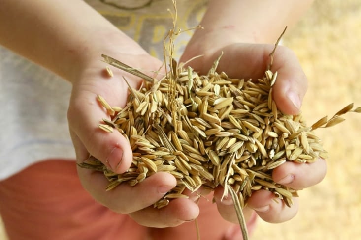 Voilà le résultat !