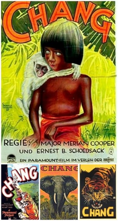 Différentes affiches du film.