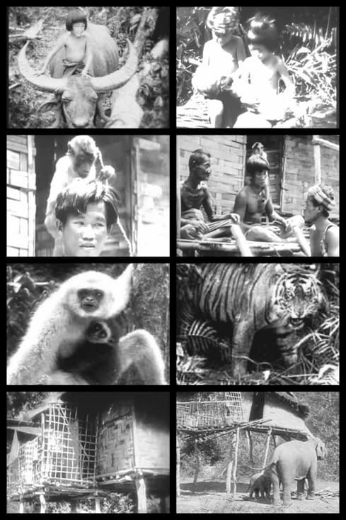 Quelques photos du film...