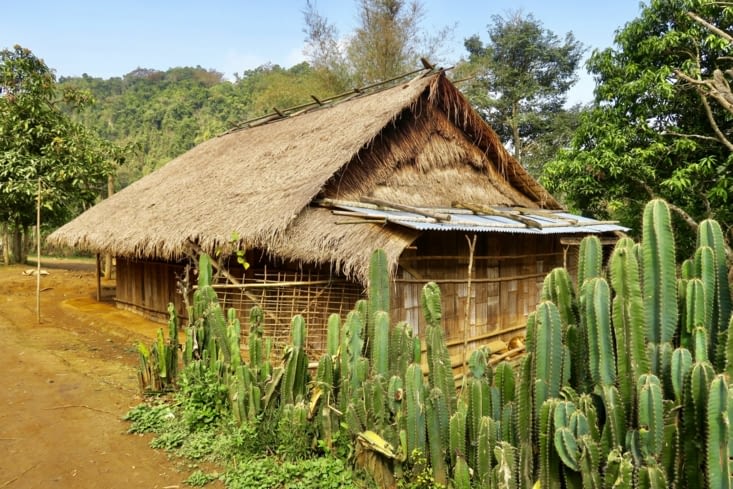 Les habitations, très simples, sont en bambou et bois....