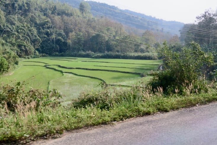 On longe d’abord les rizières en fond de vallée.