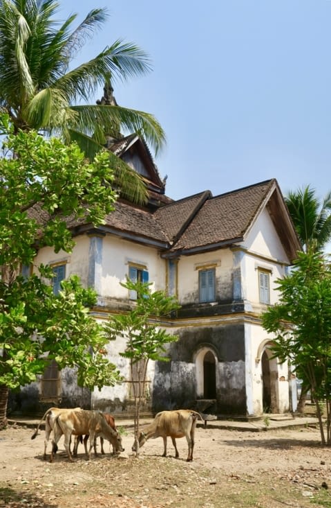 Bouquiner ou brouter..,