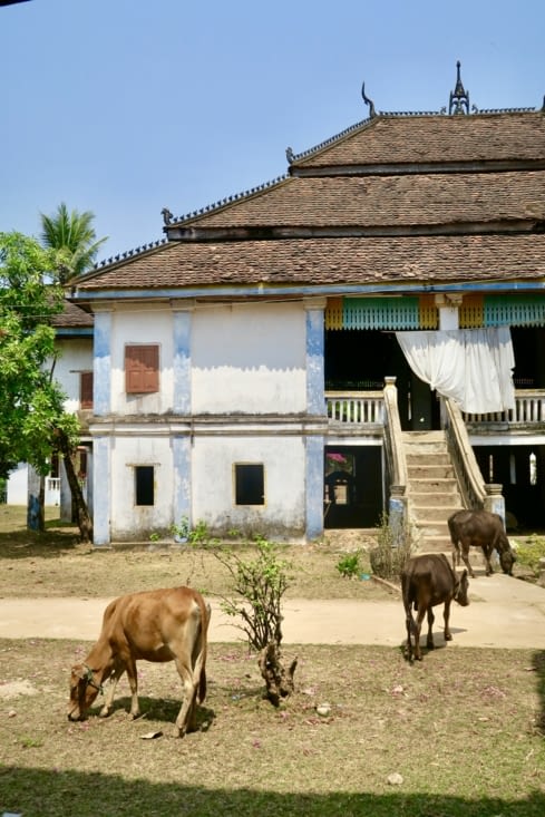 L’habitation des moines et novices.