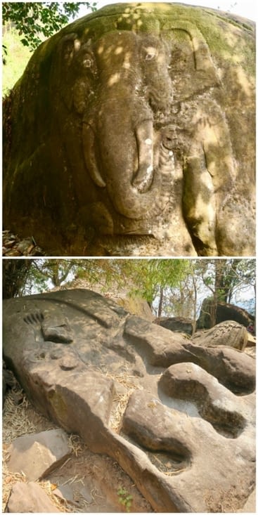 Dans la forêt qui entoure le temple, on rencontre de drôles de bestioles...
