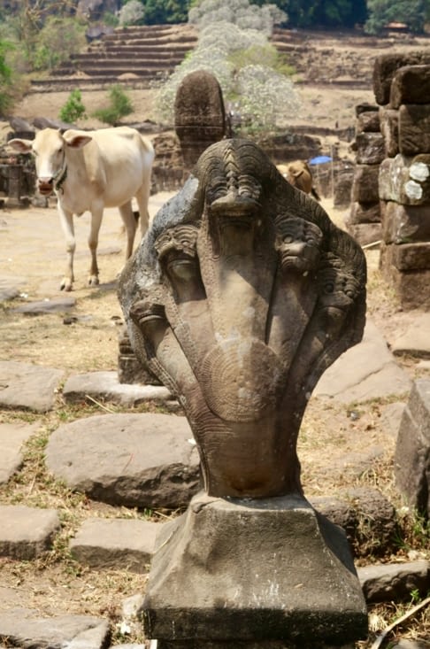 Ensuite, à la fin de la descente, un cobra à 5 têtes nous salue.