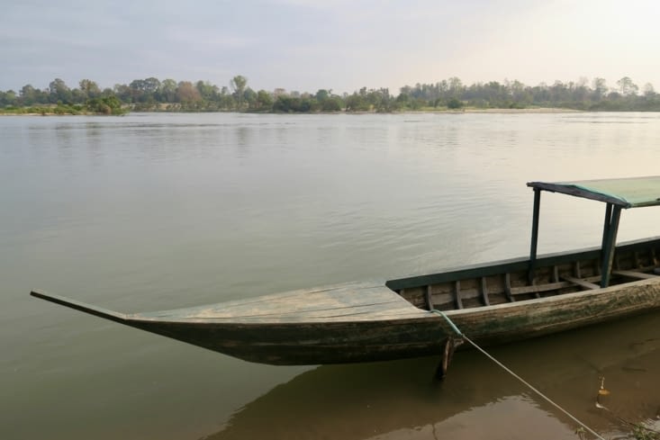 Le bateau s’arrête au spot d’observation des dauphins.