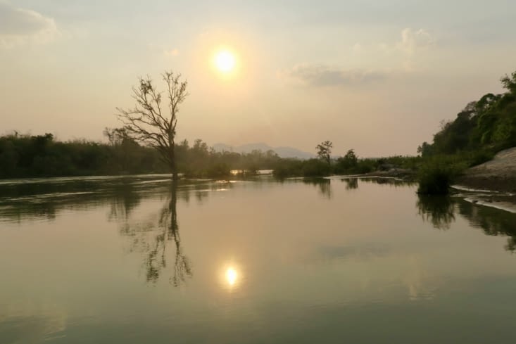 Le soleil se couche, il est temps de rentrer : c’est l’heure des moustiques !