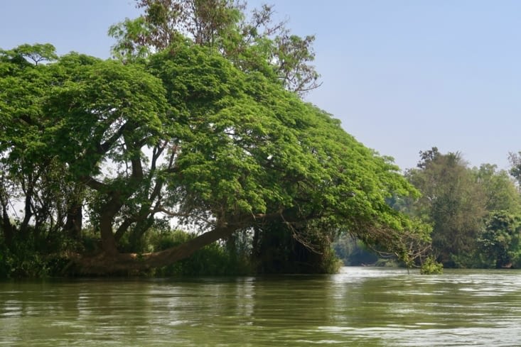 Les pieds dans l’eau.