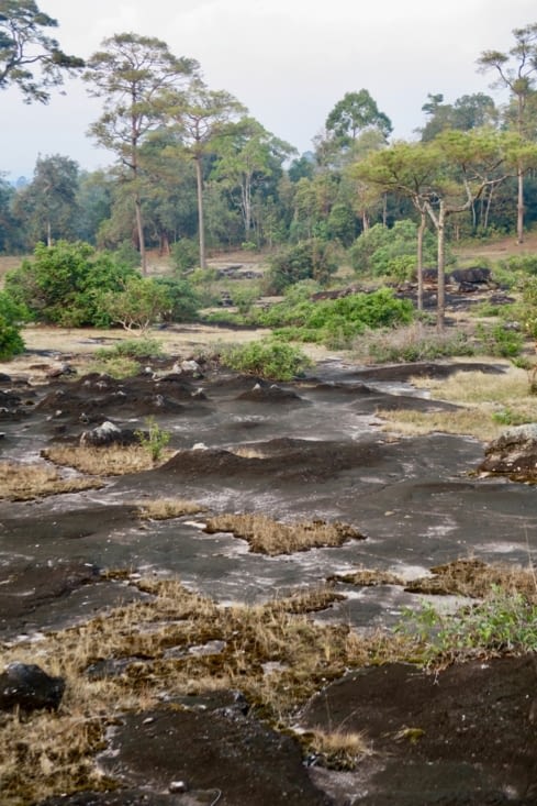 Des pierres volcaniques presque noires.