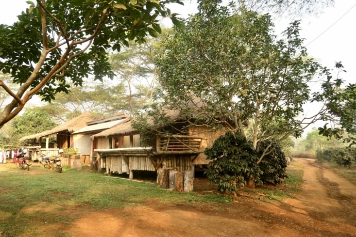 La ferme au petit matin.
