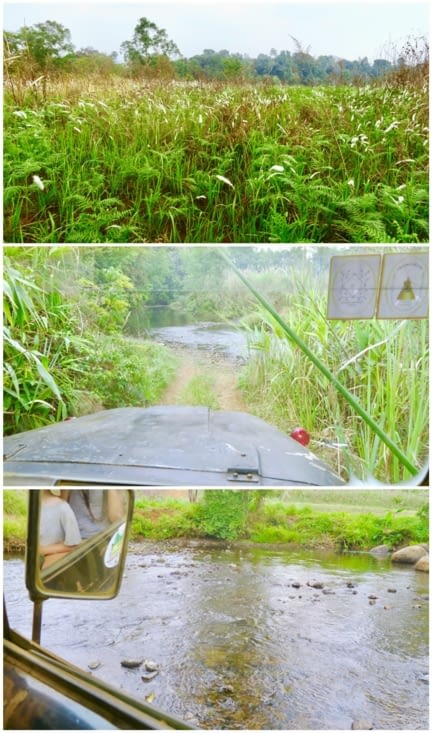La piste traverse des plantations de caféiers, d’ananas, des zones sauvages...
