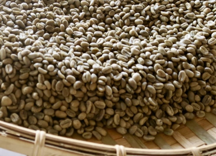 Le café que nous allons torréfier.