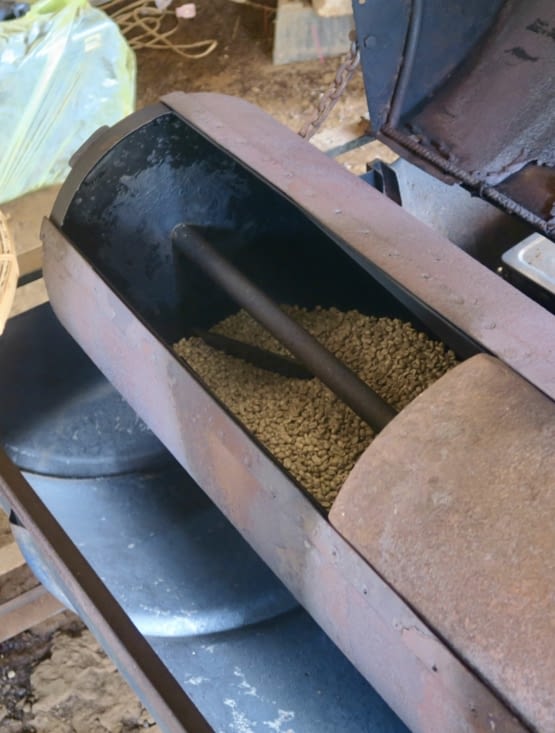 Les grains sont versés dans le tambour en métal qui est déjà très chaud.