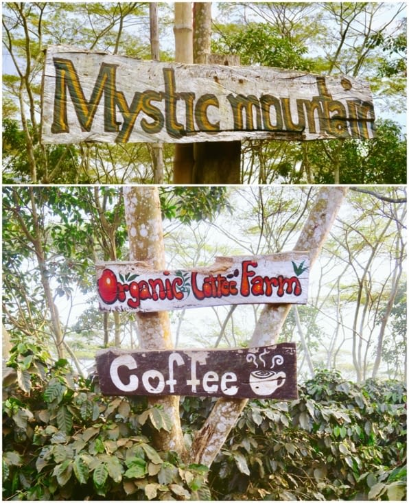 Nous voici donc à Mystic Mountain !.