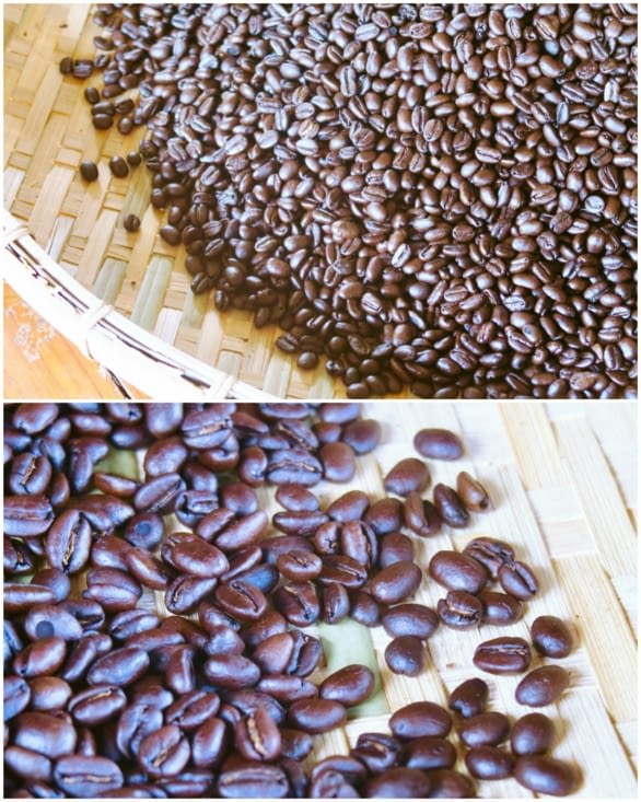 On en croque quelques-uns, les arômes sont très riches.