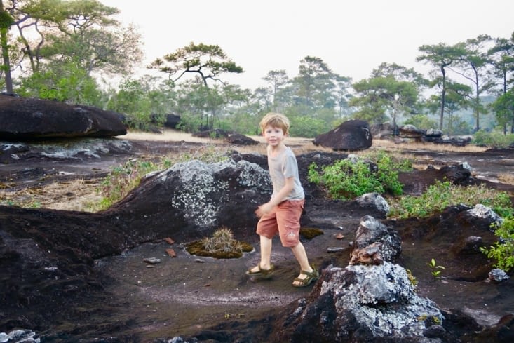 Un Lutin des Roches Noires.