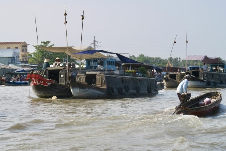 7h30, arrivée au marché de Cai Rang, rayons fruits et légumes ?
