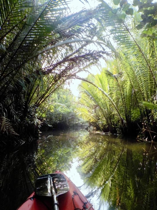 Petite pause pour savourer l’étrangeté et la magie de cet écrin vert.