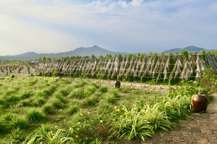 Le cadre est magnifique, au pied des montagnes et non loin d’un lac.