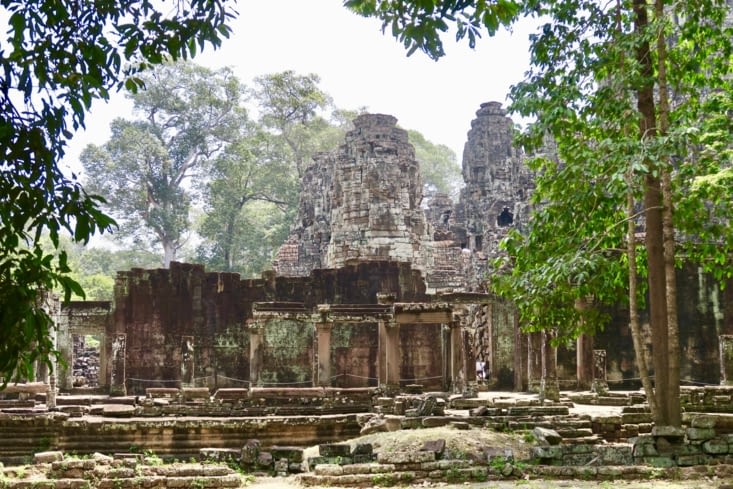 À l’approche de Bayon, dans la végétation...