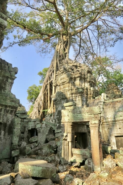 Ta Prohm est vraiment très impressionnant !
