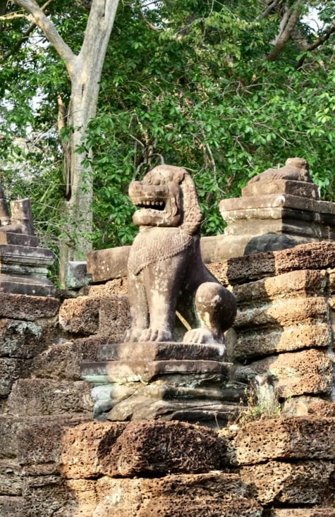 Un lion gardien veille.