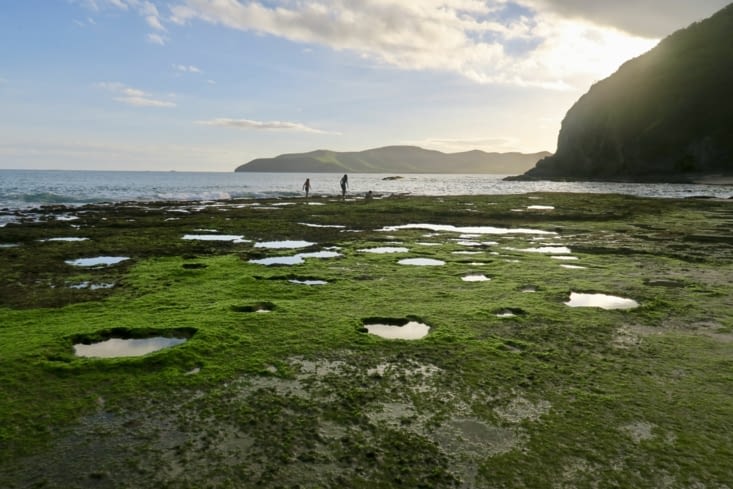 Dans les rochers plats, des trous remplis d’eau à marée basse.