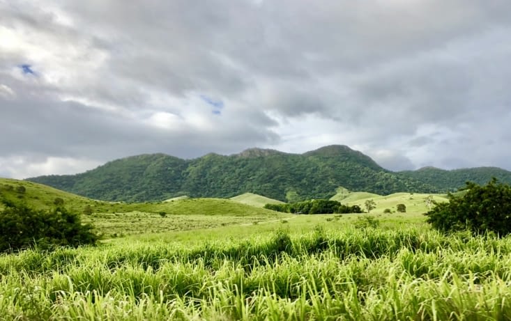 Nous traversons de grandes plaines d’un vert hallucinant...