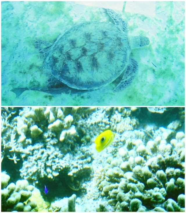 Au sec et aux premières loges !