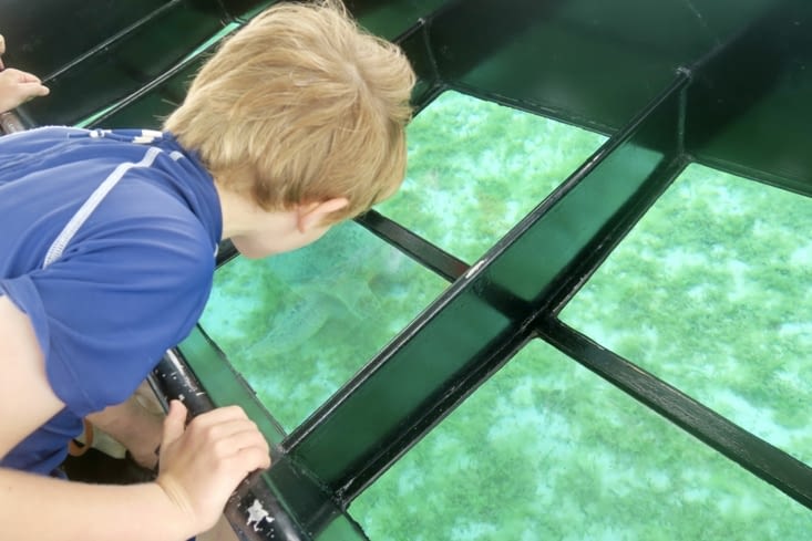 Bien pratique pour le ouistiti de Poé, qui n’est pas encore un pro du PMT* !