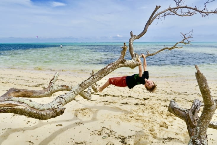Un ouistiti de Poé en pleine forme.