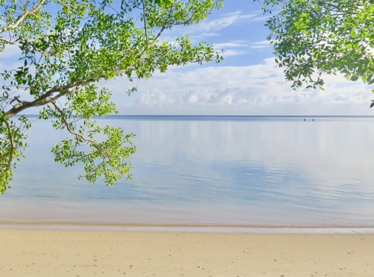 Soleil doux du matin.