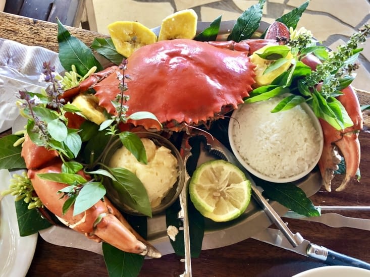 Un crabe de palétuviers... belle bête..