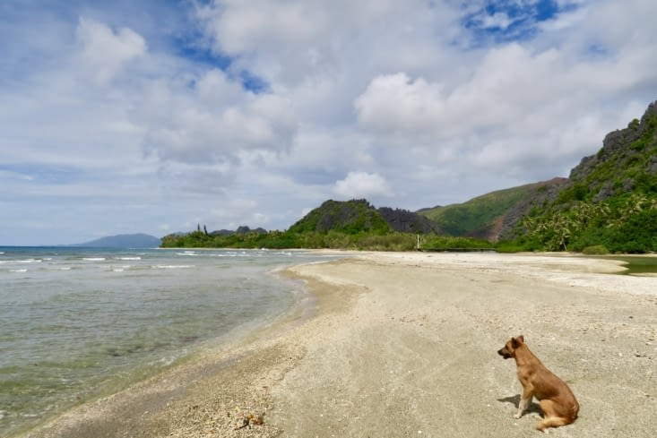 Notre guide pour toute la balade.
