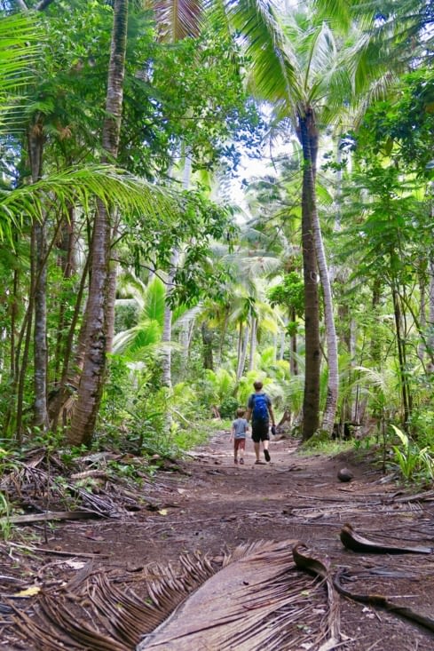 30 mn de marche plus tard, la forêt s’éclaircit un peu...