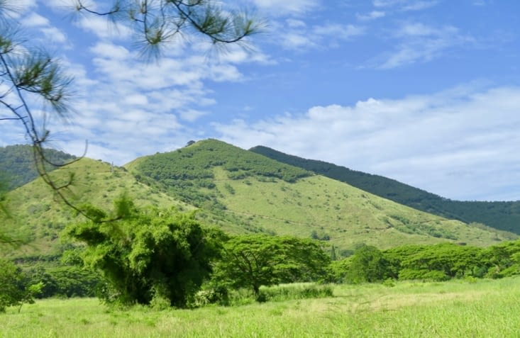 Le matin, dernière portion de route, entre Bourail et l’aéroport de Nouméa.