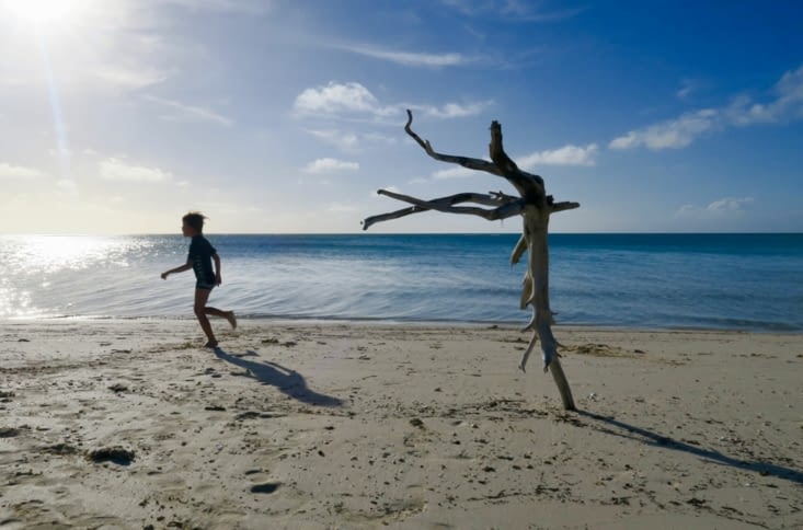 Hé, où tu vas, petit, attends-moi !