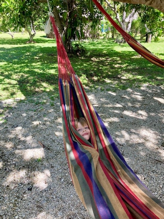 Un petit fruit bizarre...