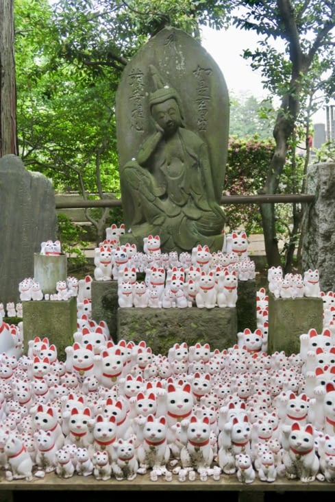 Que pense ce Bouddha de toute cette compagnie féline ? ?