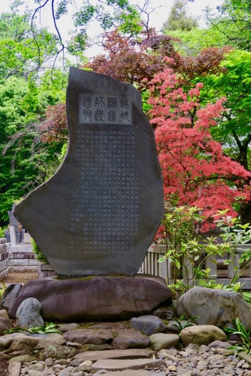 A l’automne, les érables rouges et or sont paraît-il somptueux.