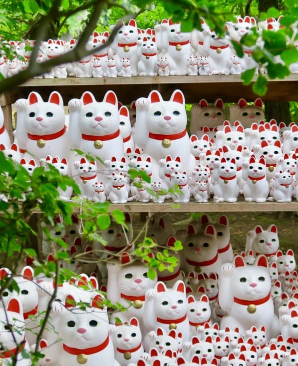 Des chats de toutes les tailles. Il doit y en avoir des milliers !