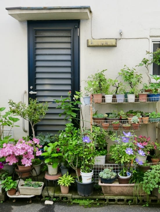 Mais les ruelles, désertes, sont charmantes.